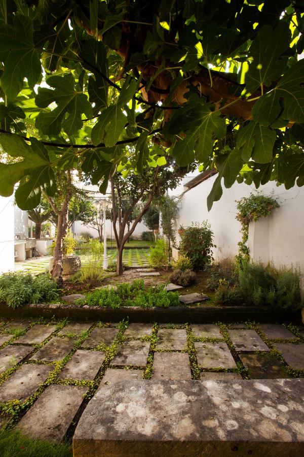 La Naca Della Taranta B&B Galatina Extérieur photo